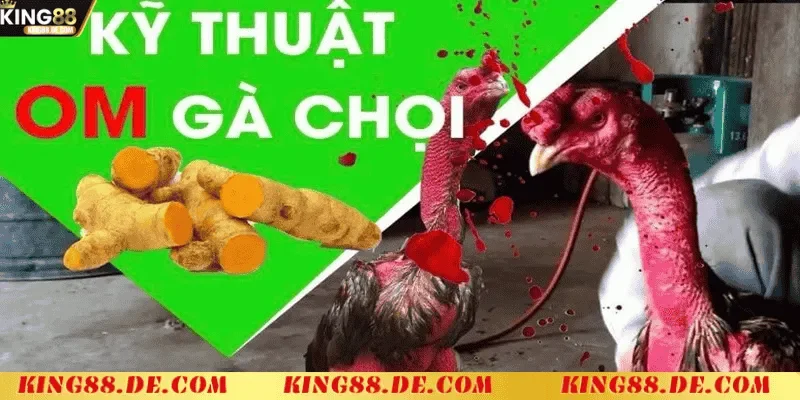 Om Bóp Gà Chọi: Tăng Cường Sức Khỏe Và Vẻ Đẹp Chiến Kê